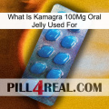 What Is Kamagra 100Mg Oral Jelly Used For viagra1